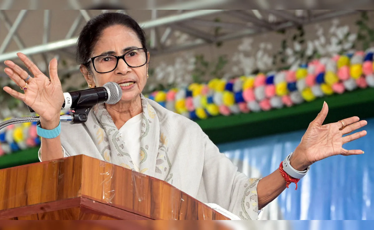 బెంగాల్‌లో మళ్లీ ఎన్నికలు జరపాలి: మమత
