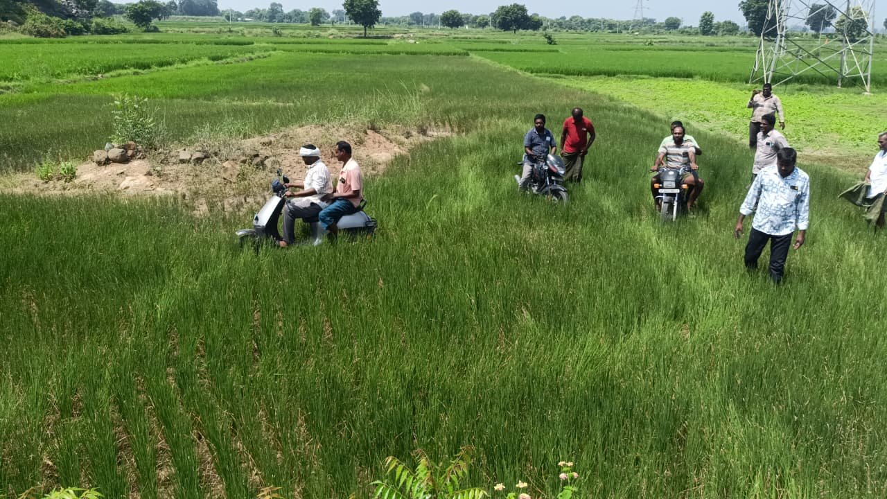 రైతులకు శాపంగా కాంగ్రెస్ ప్రభుత్వం - కరెంట్ కోతలతో కన్నీరు - Additional Image
