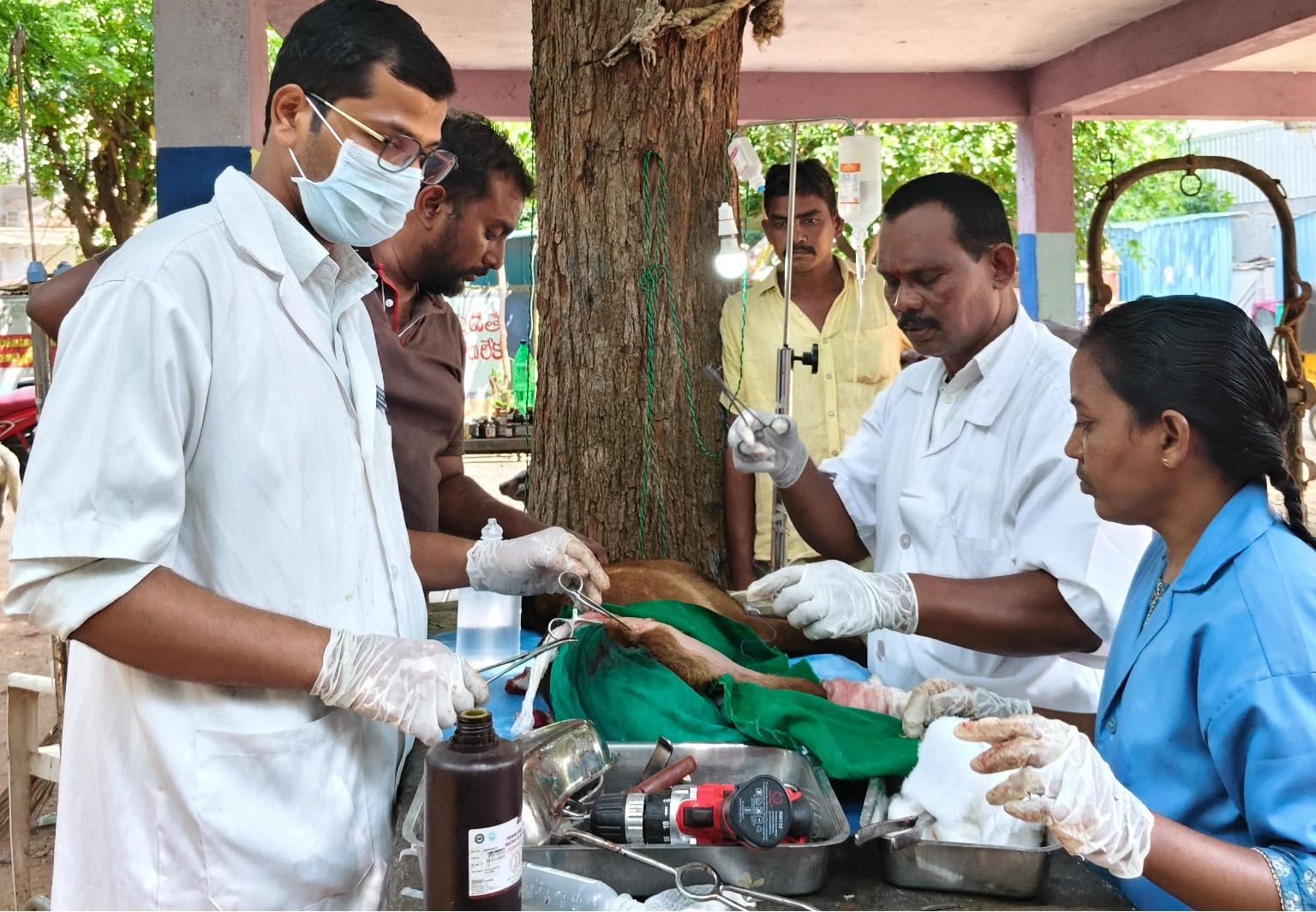 కుక్క శస్త్ర చికిత్సకు కోసం హైదరాబాద్ నుండి కోదాడకు 